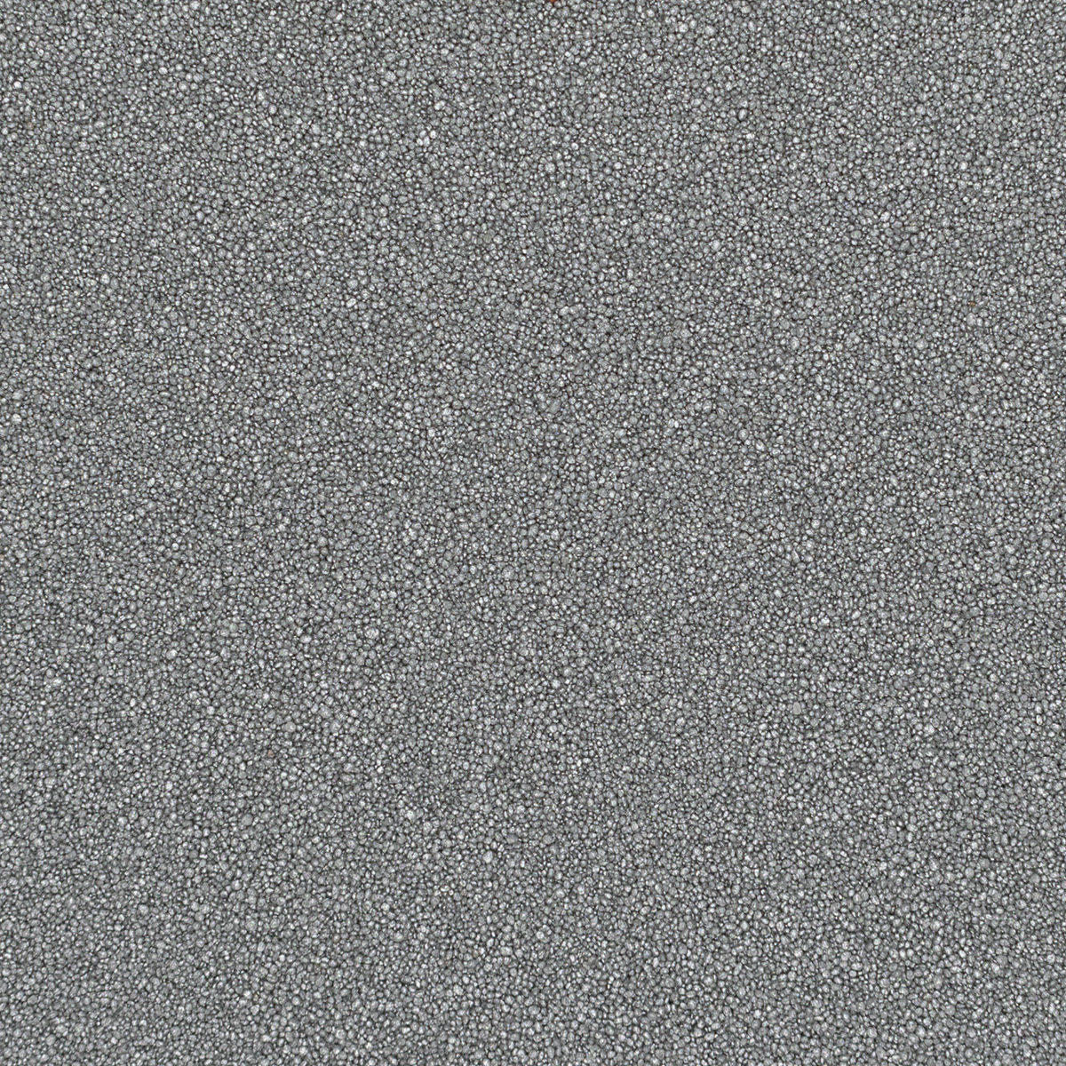 Torginol, Inc. | Silver Metallic